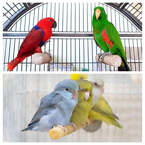 PATIKIL Bird Perch Stand, Parrot Stand Platform Playground Paw Grinding Clean for Parakeet Cockatiel Cage Accessory, Yellow