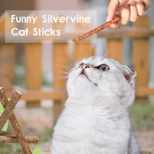 Rocendlor 25PCS/Pack Silvervine Sticks for Cats, Cat Chew Stick, Catnip Toys, Natural Matatabi Sticks, Kitty Kitten Teething Interactive Wand Toy, Molar Dental Sticks for Cat