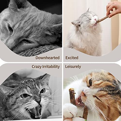 Rocendlor 25PCS/Pack Silvervine Sticks for Cats, Cat Chew Stick, Catnip Toys, Natural Matatabi Sticks, Kitty Kitten Teething Interactive Wand Toy, Molar Dental Sticks for Cat