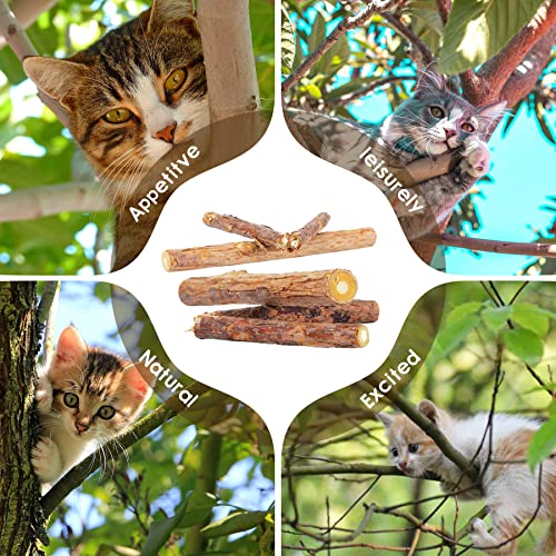 Rocendlor Cat Chew Stick, Silvervine Sticks for Cats, Catnip Toys, Silver Vine, Matatabi, Cleaning Teeth Molar Toy, Teething Interactive Wand Stick, Dental Sticks for Cat Kitty Kitten [30PCS/Pack]