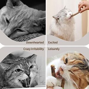 Rocendlor Cat Chew Stick, Silvervine Sticks for Cats, Catnip Toys, Silver Vine, Matatabi, Cleaning Teeth Molar Toy, Teething Interactive Wand Stick, Dental Sticks for Cat Kitty Kitten [30PCS/Pack]