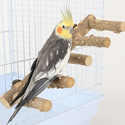 CheeFun Bird Perch: Nature Wood Parrot Stand for Small Animal - Pet Bird Cage Ladder Chew Toys