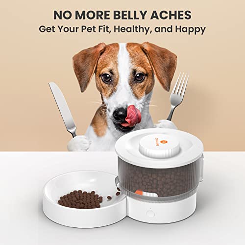 DOG CARE Automatic Cat Feeders, Cordless Automatic Slow Feeder Prevents Bloating for Small Dogs, 4-Cup Capacity Timed Cat Feeder with Meal Times and Portion Control, APP Control Pet Dry Food Dispenser