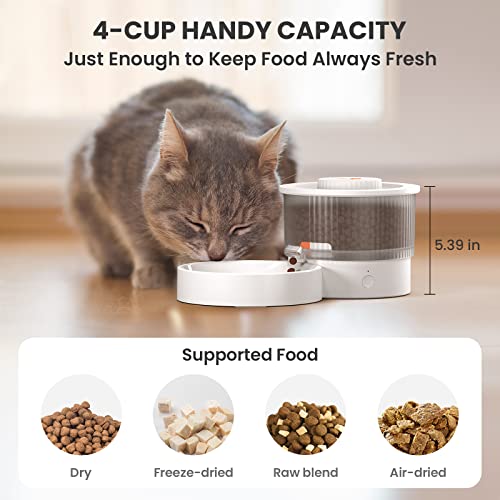 DOG CARE Automatic Cat Feeders, Cordless Automatic Slow Feeder Prevents Bloating for Small Dogs, 4-Cup Capacity Timed Cat Feeder with Meal Times and Portion Control, APP Control Pet Dry Food Dispenser