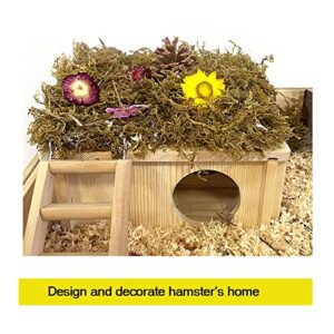 WEWAYKGJ Hamster Wood House Hideout 2-Chamber Hamster Wooden House Multi-Chamber Hamster Habitats Decor for Dwarf Chinchilla Mice Gerbils Gerbils Mouse and Other Small Rodents  