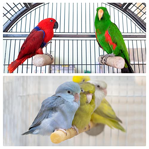 PATIKIL 1x6.7 Inch Bird Cage Perch, 2 Set Parrot Stand Paw Grinding Stick Rope Weaving Wooden Stand Cage Accessories for Parrot Parakeet Cockatiel