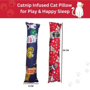 Shizhoo Catnip Toys for Indoor Cats, Kicker Cat Nip Toys for Kittens - (Interactive Cat Toy, Catnip Toys for Cats, Cat Chew Toy, Catnip Toys, Cat Toys) - Pillow