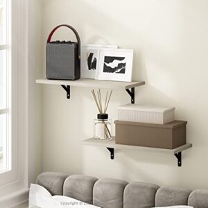Furinno Rossi 18-Inch Wall Mounted Floating Display Shelves, Metropolitan Pine, Set of 2