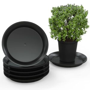 megasprout 6 plant saucer trays 9 inch | sturdy plastic plant trays for pots & planters | protect & enhance surfaces with black round flower pot saucers | large plant saucers for indoors