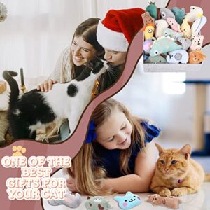 25 Pcs Catnip Toys Cat Chew Toy Interactive Catnip Filled Kitten Toys Soft Cotton Cat Toys for Cats Kitten, Assorted Cat Teething Chew Toys Indoor Pet Supplies (Lovely)