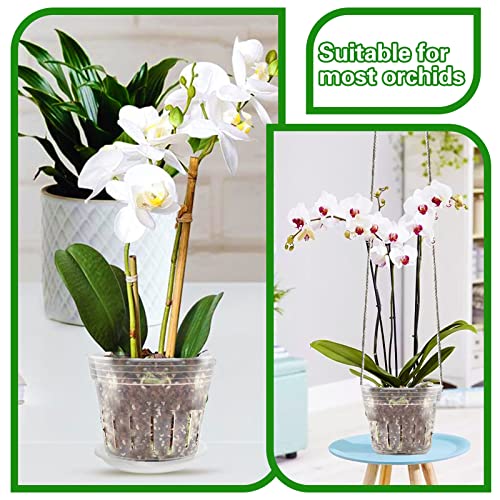 Zddaoole Orchid Pot,9 Each of 4.8,5.7 and 6.4 Inch Orchid Pots with Holes,Clear Plastic Flower Plant Pots for Repotting Indoor Outdoor,Breathable Slotted Orchids Planter