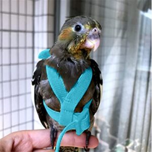 shanlily pet parrot bird harness and leash, adjustable training design anti-bite, bird nylon rope with wing for parrots, suitable for most birds