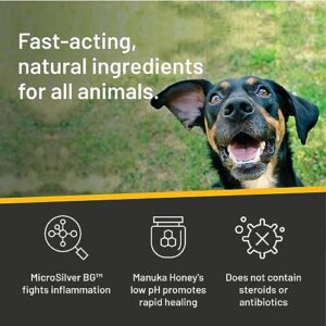 Absorbine Silver Honey Rapid Ear Care Vet Strength Ear Rinse, 4oz, Manuka Honey & MicroSilver BG, Safe for Dogs, Cats & All Animals
