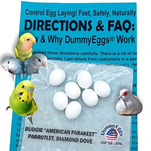 7 dummy eggs to stop egg laying for budgerigar parakeet, parrotlet, diamond dove. non-toxic premium realistic plastic solid fake bird eggs 3/4 x 5/8 usa