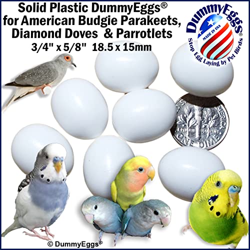 7 Dummy Eggs to Stop Egg Laying for Budgerigar Parakeet, Parrotlet, Diamond Dove. Non-Toxic Premium Realistic Plastic Solid Fake Bird Eggs 3/4 x 5/8 USA