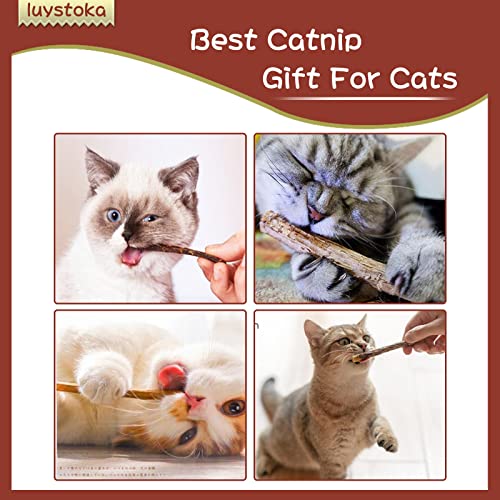 Luystoka [ 30pcs] Silvervine Sticks, Cat Chew Stick, Catnip Toys, Matatabi Sticks for Indoor Cats,Kitty, Wooden Dental Sticks, Kitten Teething Interactive Wand Toys for Cats