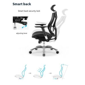 SEASD Ergonomic Computer Chair Home Waist Engineering Office Chair E-Sports Seat Human Design Multi-Function Adjustment