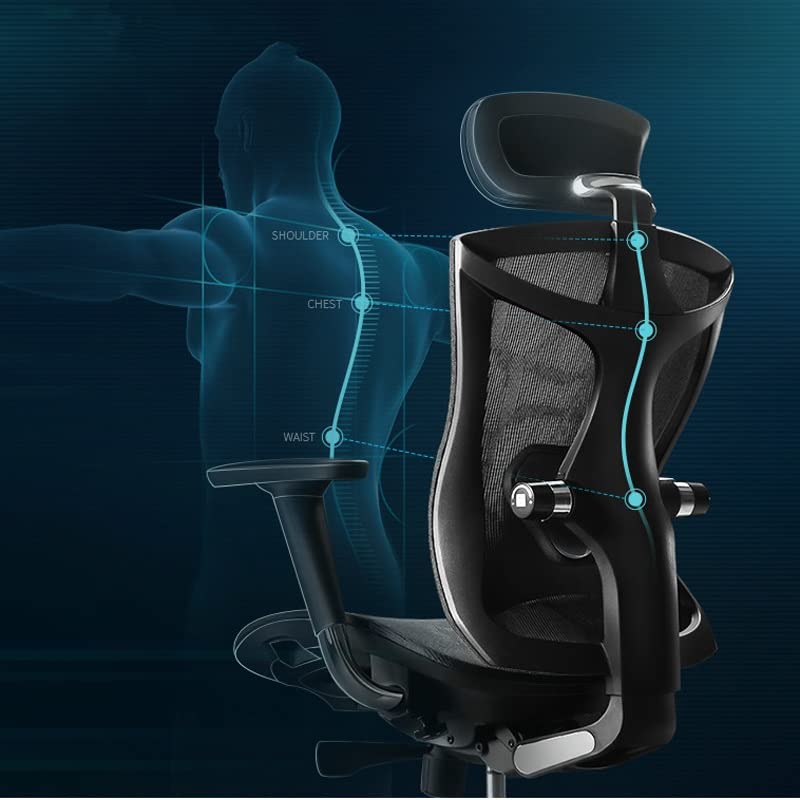 SEASD Ergonomic Computer Chair Home Waist Engineering Office Chair E-Sports Seat Human Design Multi-Function Adjustment