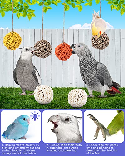 Bissap 6PCS Small Parrot Chew Toys, Sola Balls Parrot Chewing Foraging Toys Colorful Bird Foot Balls for Cockatiels Conures Cockatoos Parakeets Love Birds Small Parrot Cage Bite Toys