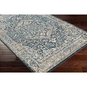 Surya Davaro Traditional Medallion Area Rug,9'2" x 12',Navy