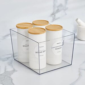 Nate Home mDesign by Nate Berkus Wide Plastic Bin with Handles | Perfect Organizer for Kitchen Storage or Fridge, and Pantry Organization from mDesign - Set of 4, Clear