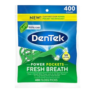 dentek fresh breath floss picks, mint flavor, 400 floss picks