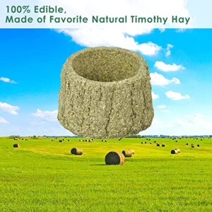 ERKOON 100% Edible Premium Timothy Hay Chew A Bowl for Rabbits, Chinchilla Treats, Chew Toys for Teeth Guinea Pigs and Mice