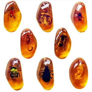 8pcs amber fossils with insects samples stones crystal samples for home decorations collections oval pendants pendant science educational (8 pcs)
