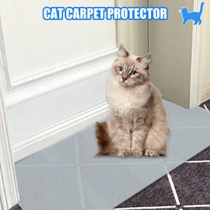 5.2Ft Cat Carpet Protector,Cat Carpet Protector for Doorway,DIY Non Slip Carpet Protector for Pets,Easy to Cut, Carpet Protector Stop Cats from Scratching Carpet at Doorway