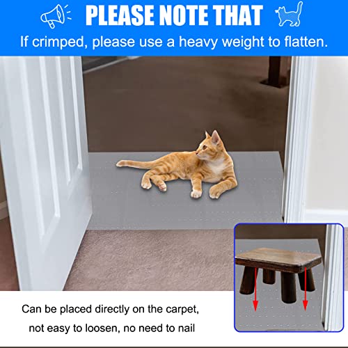 5.2Ft Cat Carpet Protector,Cat Carpet Protector for Doorway,DIY Non Slip Carpet Protector for Pets,Easy to Cut, Carpet Protector Stop Cats from Scratching Carpet at Doorway
