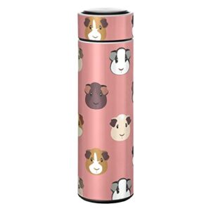 glaphy cartoon guinea pig pink water bottle, bpa-free, stainless steel, 12 oz insulated water bottles kids, for school, office, gym, sports, travel, 350ml