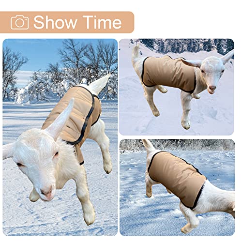 2 Pcs Goat Blanket Goat Blankets for Cold Weather Mini Horse Blanket Goat Coats for Winter Goat Supplies Goat Blankets Sheep Blanket S
