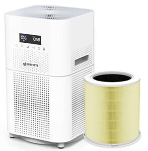 dayette hepa air purifiers for home large room, cadr 400+ m³/h up to 1720 sq ft, with extra h13 true hepa air filter for allergies pets dander