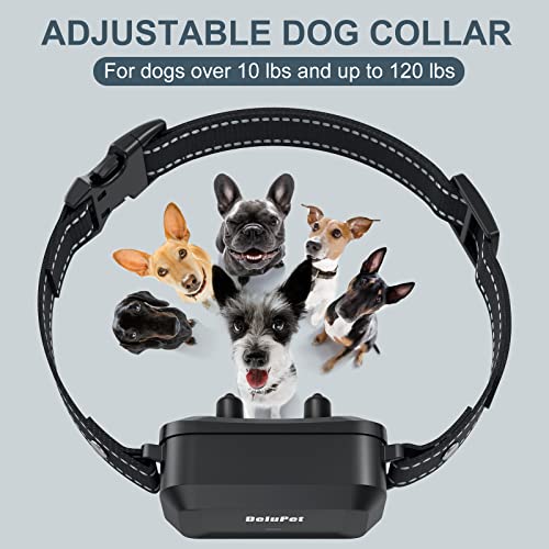 Dog Training Collar - Dog Shock Collar with Remote 1600FT, Waterproof Collar, 3 Training Modes and 4 Channels, Security Lock for All Breeds, Sizes