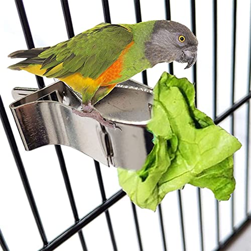 ShanLily Birds Food Holder Food Vegtable Fruits Holder Bird Feeder Cage Birds Feeder Devices Clip Vegetables Feeder for Cockatiel Bird Parrot Hamster