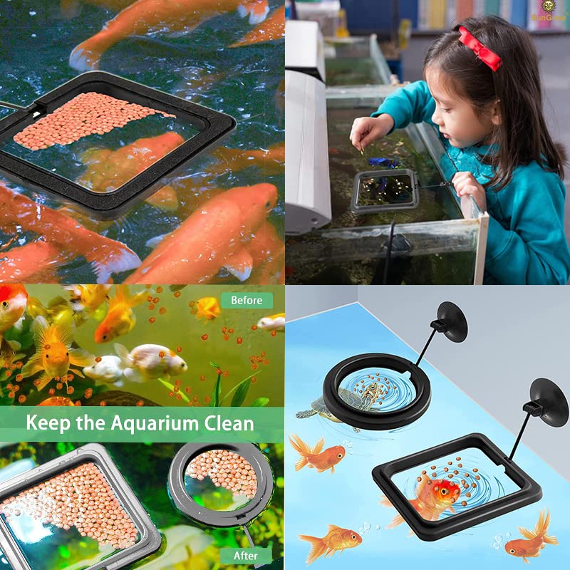 RIENER 4pcs Black Fish Feeding Ring Floating Food Square, Suitable for Flakes and Floating Fish Food for Goldfish (Round and Square)