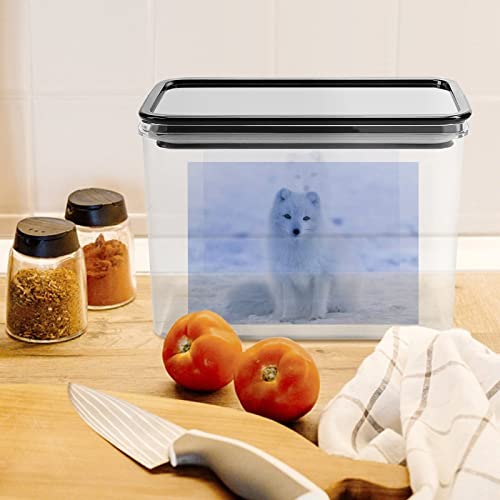 Arctic Fox Storage Box Plastic Food Organizer Container Canisters with Lid for Kitchen