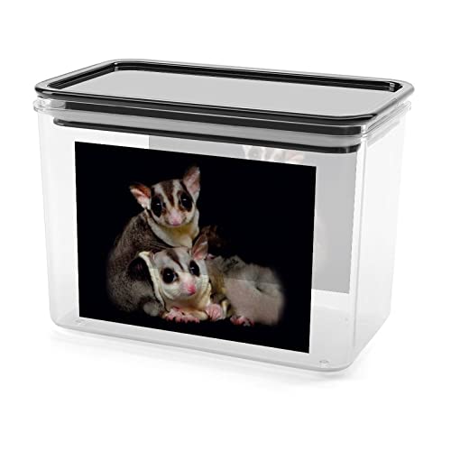 Cute Sugar Glider Storage Box Plastic Food Organizer Container Canisters with Lid for Kitchen