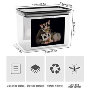 Cute Sugar Glider Storage Box Plastic Food Organizer Container Canisters with Lid for Kitchen