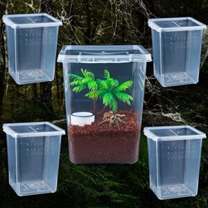 5 pack spider terrariums breeding box insect hatching container acrylic breeding box for arboreal spider tarantula mantis scorpion centipede small reptiles