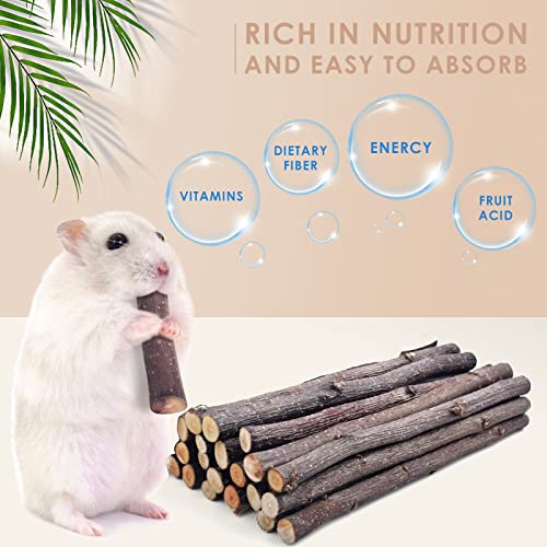 Bissap 120g/0.2lb Apple Sticks for Rabbits, Natural Bunny Chew Toys and Treats for Chinchilla Guinea Pig Hamster Gerbil Small Animals Pet Apple Wood Stick Toys Teeth Grinding