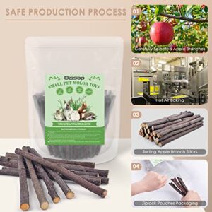 Bissap 120g/0.2lb Apple Sticks for Rabbits, Natural Bunny Chew Toys and Treats for Chinchilla Guinea Pig Hamster Gerbil Small Animals Pet Apple Wood Stick Toys Teeth Grinding