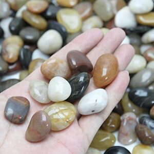 Yousonew 10lbs 100% Natural River Rock Stones,Garden Adornment Stones,Pebbles Polished Gravel for Plants,Vases,Aquariums,Succulents, Home Decor. (10LBS)