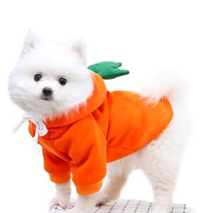 Puppy Raincoat for Small Dogs Girl Clothing for Dogs Warm Coats Casual Jacket Pet Clothes Dog Close for Boys