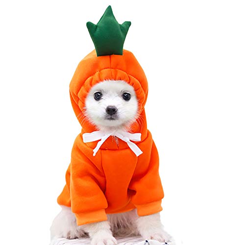 Puppy Raincoat for Small Dogs Girl Clothing for Dogs Warm Coats Casual Jacket Pet Clothes Dog Close for Boys