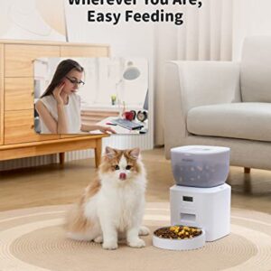 WUIPET Automatic Cat Feeders, Anti-Clogging Design Pet Dry Food Dispenser with Voice Recorder, Timed Cat Feeder with Desiccant Bag, Programmable Timer Pet Feeder - Up to 20 Portions 6 Meals Per Day