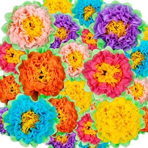 24 pcs fiesta paper flowers,colorful tissue paper flowers,paper pom poms carnival theme party backdrop table centerpieces wall decorations for birthday,wedding,baby shower,celebration party supplies