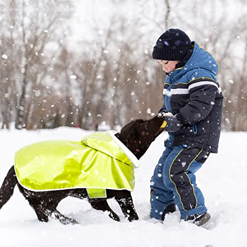 Weesiber Dog Raincoat Waterproof, Reflective Dog Rain Jacket Coat with Transparent Brim Hood, Adjustable Lightweight Puppy Poncho Slicker S M L XL XXL (Medium, Green)