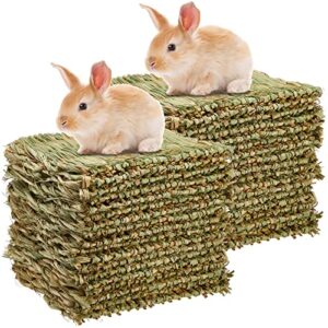 riakrum 40 pcs grass mats for rabbits bunny grass mat woven straw mat bed rabbit sleeping mat natural chew toy bed for parrot chinchilla squirrel hamster cat dog small animal