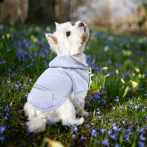 Small Girl Dog Sweater Pet Autumn and Winter Pocket Sweatshirt Gray Tops Cats Hoodies Cute Zipper Warm Pet Clothes for Dogs Small Female